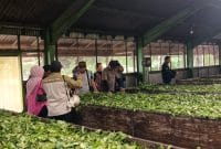 Wisata Tambi Wonosobo masuk 6 besar Daya Tarik Wisata Terbaik Nasional