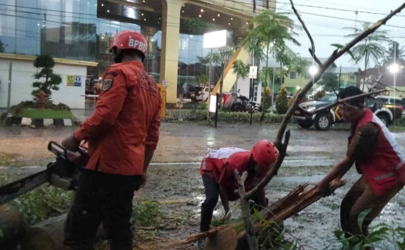 Petugas gabungan membersihkan material pohon tumbang di wilayah Sruweng, Kebumen.