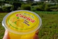 Manisan Carica, makanan khas Dieng Wonosobo.