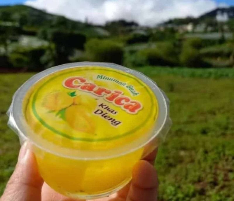 Manisan Carica, makanan khas Dieng Wonosobo.