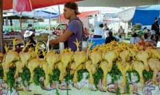 Harga Ayam Sempat Naik Hingga Rp 45 Ribu, Mendag Tegaskan Rata-Rata Nasional Masih Stabil