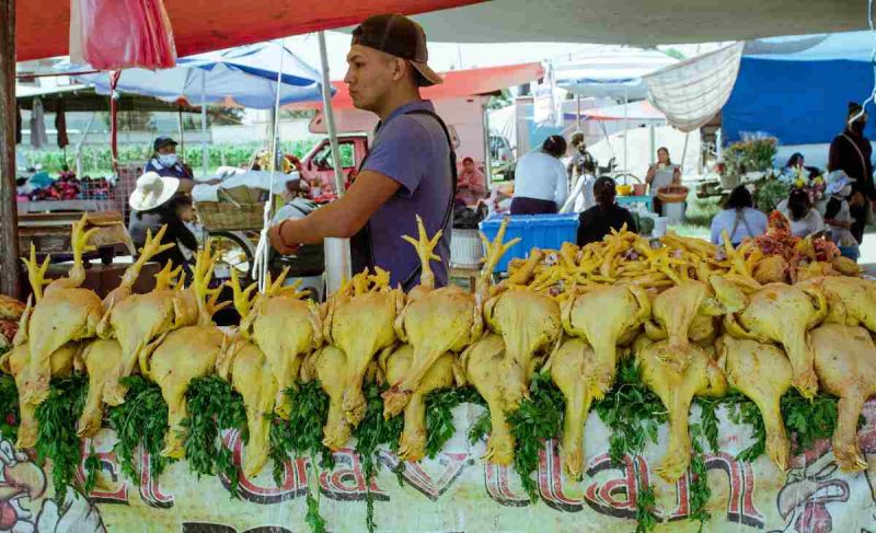 Ilustrasi pedagang daging ayam.