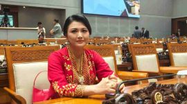 Anggota Komisi IX DPR RI dari Fraksi PDI Perjuangan, Vita Ervina
