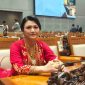 Anggota Komisi IX DPR RI dari Fraksi PDI Perjuangan, Vita Ervina