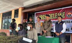 Aparat Gabungan Berhasil Ungkap Ladang Ganja di Kabupaten Pegunungan Bintang Papua