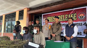 Aparat Gabungan Berhasil Ungkap Ladang Ganja di Kabupaten Pegunungan Bintang Papua