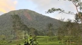 Kondisi longsor di Gunung Kembang Wonosobo terlihat sampai bawah.