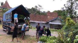 Jatubu menyalurkan bibit pohon ke sejumlah wilayah di Wonosobo untuk mencegah bencana alam.