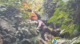 Tim SAR gabungan saat menyusuri Gunung Bismo mencari dua remaja yang hilang misterius.