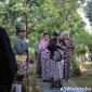 Tradisi bedhol kedaton di Desa Plobangan, Selomerto, Wonosobo.