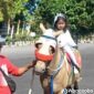 Lavanya Zeela Quintessa tampil ceria menunggangi kuda di Pendopo Kabupaten Wonosobo, Jumat (24/7/2026)