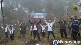 Penanaman di lereng Gunung Kembang, tepatnya di Desa Keseneng, Kecamatan Mojotengah, Kabupaten Wonosobo, Kamis (30/7/2026).
