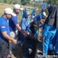 DPC Partai Demokrat Wonosobo meresmikan aksi Gerakan Langit Biru Indonesia Asri di Kelurahan Kejiwan, Kecamatan Wonosobo.