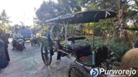 Pasangan guru pulang haji di Purworejo di bawa dengan arak-arakan kereta kuda. 