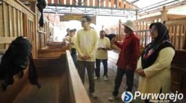 Kegiatan Peningkatan Kapasitas Pimpinan Perangkat Daerah yang berlangsung di Joglo Andjangsifa, Desa Pandanrejo, Kecamatan Kaligesing, Jumat (03-07-2026).