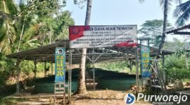 Program bantuan budidaya lele dan tanaman dari Kementerian Kelautan dan Perikanan (KKP) di Kaliharjo, Purworejo.