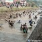 Ribuan warga memadati Irigasi Silekor. Mereka antusias mengikuti Tradisi Gogoh Ikan pada Minggu (2/8/2026).