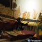 Javas Inderatma Wiguna, bocah asal Purworejo yang kini mantap meniti karier sebagai dalang cilik setelah mengenal dunia pewayangan sejak balita.