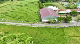 Gambar sebuah rumah di pedesaan di Wonosobo.